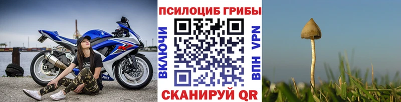 ссылка на мегу   Бодайбо  Галлюциногенные грибы Psilocybe 